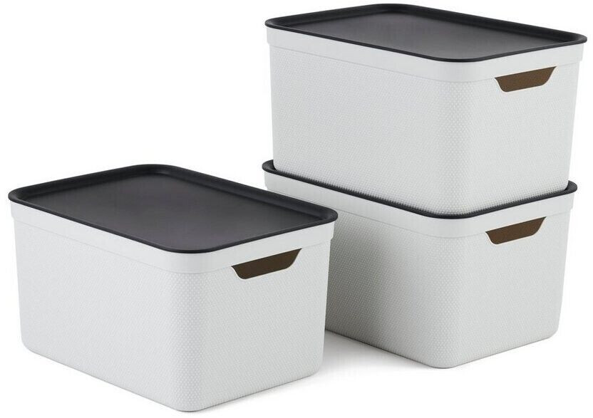 Rotho Jive 26x18x13cm 16L 3 Pcs.