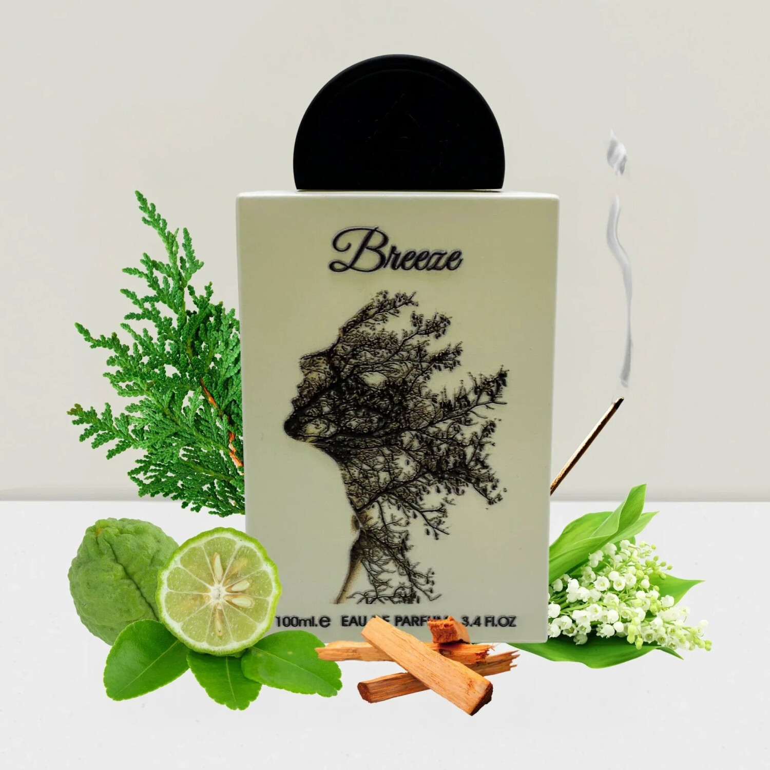 Lattafa Pride Breeze Eau de Parfum (100ml) ab 37.37 € | Vergleiche 