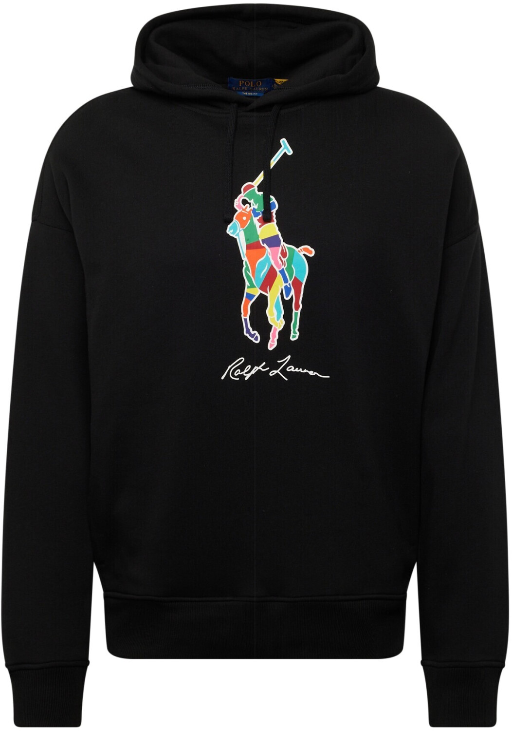 Polo Ralph Lauren Hoodie (710926613) black ab 110,49 
