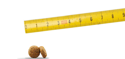 Josera Croquettes pour chien breeds10kg