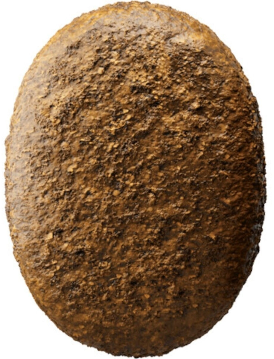 Josera Croquettes pour chien 12.5kg Josera Croquettes pour chien 12.5kg