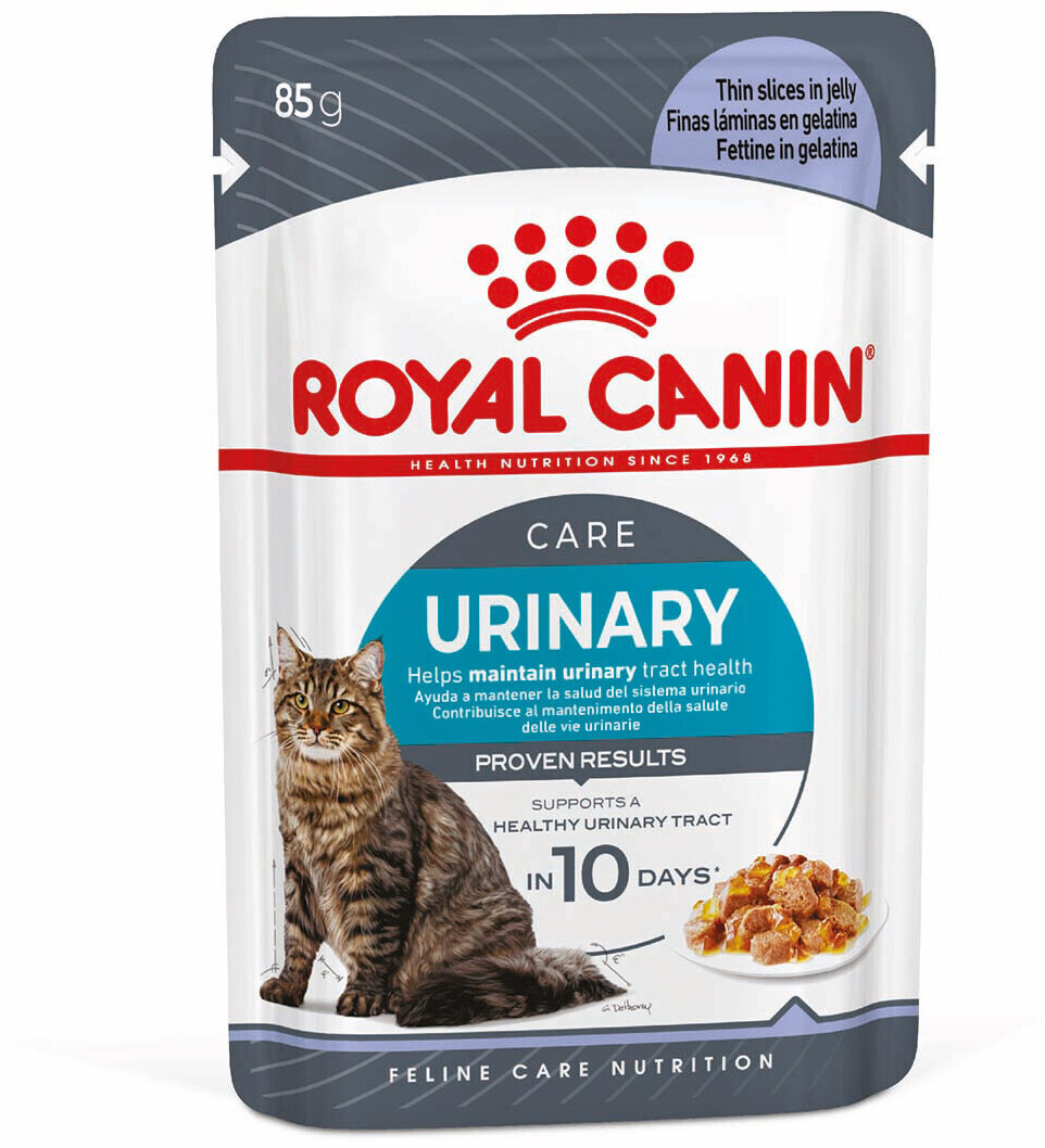 Royal Canin FCN Urinary Care in Gelee Wet Cat Food 12x85g