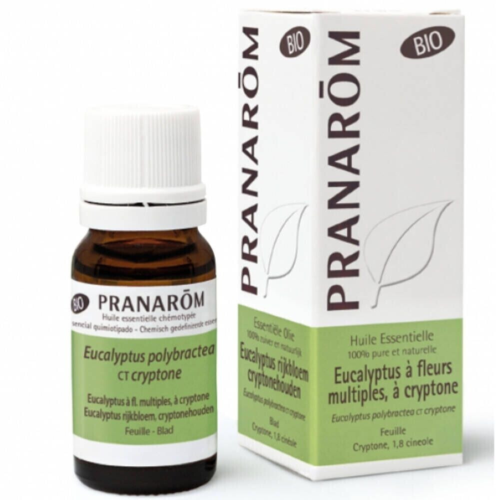 Pranarôm Eucalyptus Cryptone Bio Essential Oil (10ml)