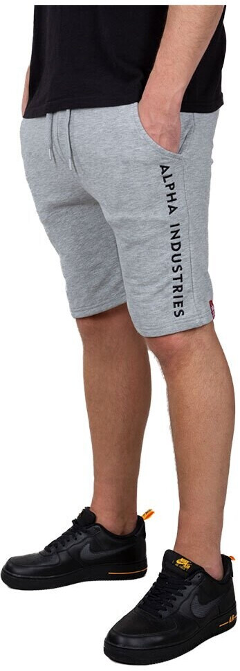 Alpha Industries Ai Shorts (116365-017) grey