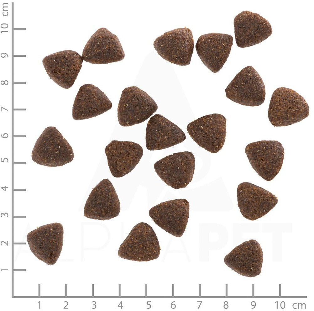 Wolfsblut Croquettes pour chien 12.5kg Wolfsblut Croquettes pour chien 12.5kg