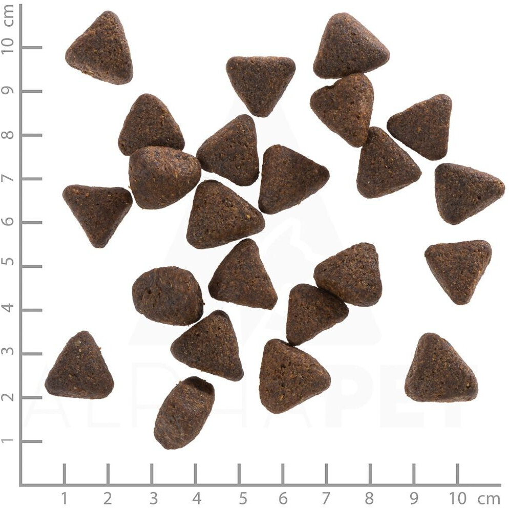Wolfsblut Croquettes pour chien dry food 12.5kg
