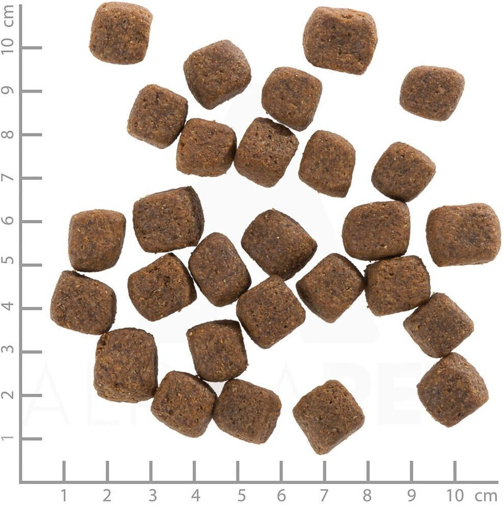 Wolfsblut Croquettes pour chien 12.5kg