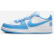 Nike Terminator Low university blue/white