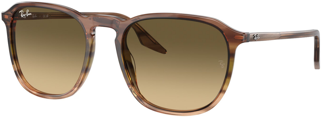 Ray-Ban RB 2203 13920A