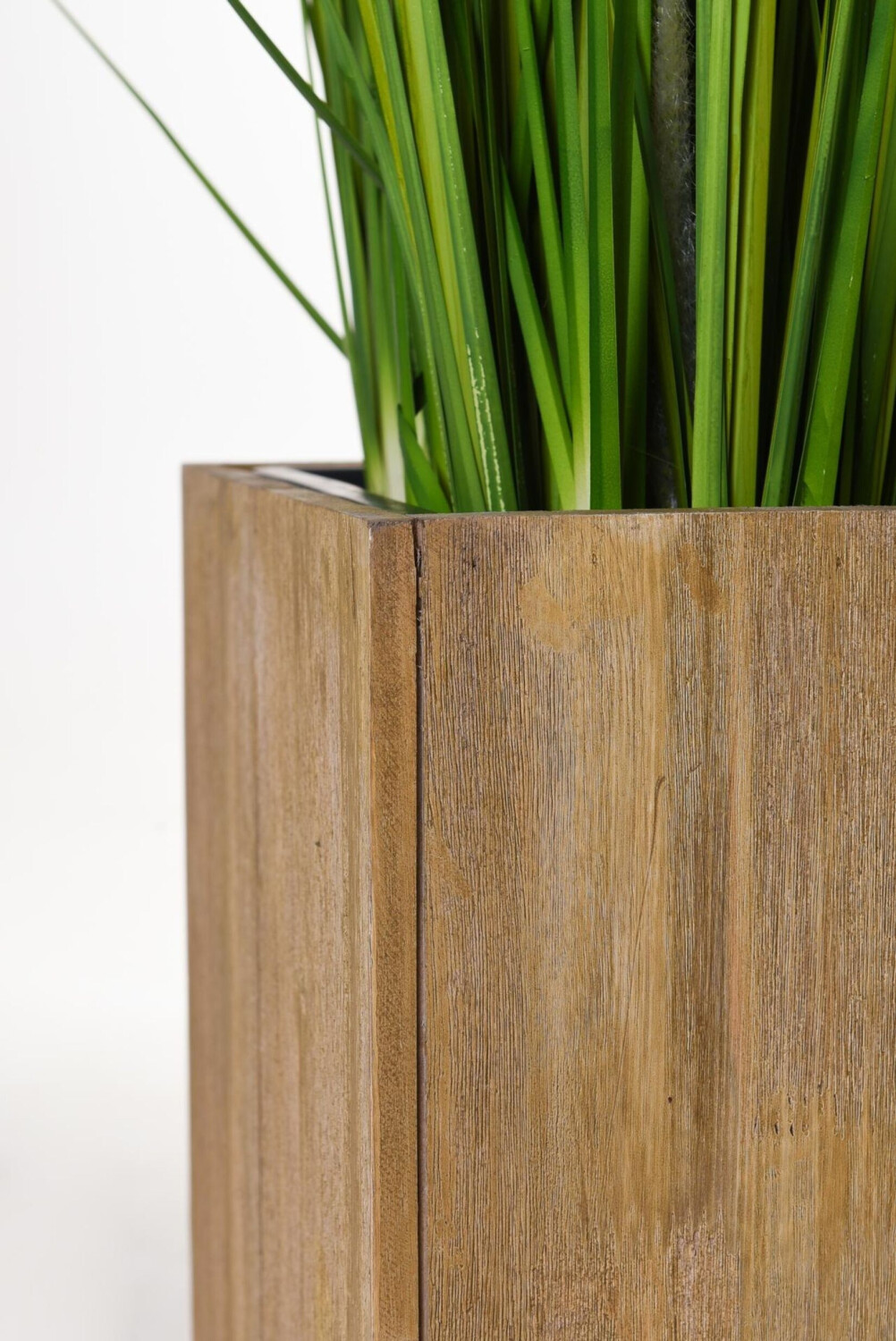 Vivanno Vivanno 2031453370 - detail view