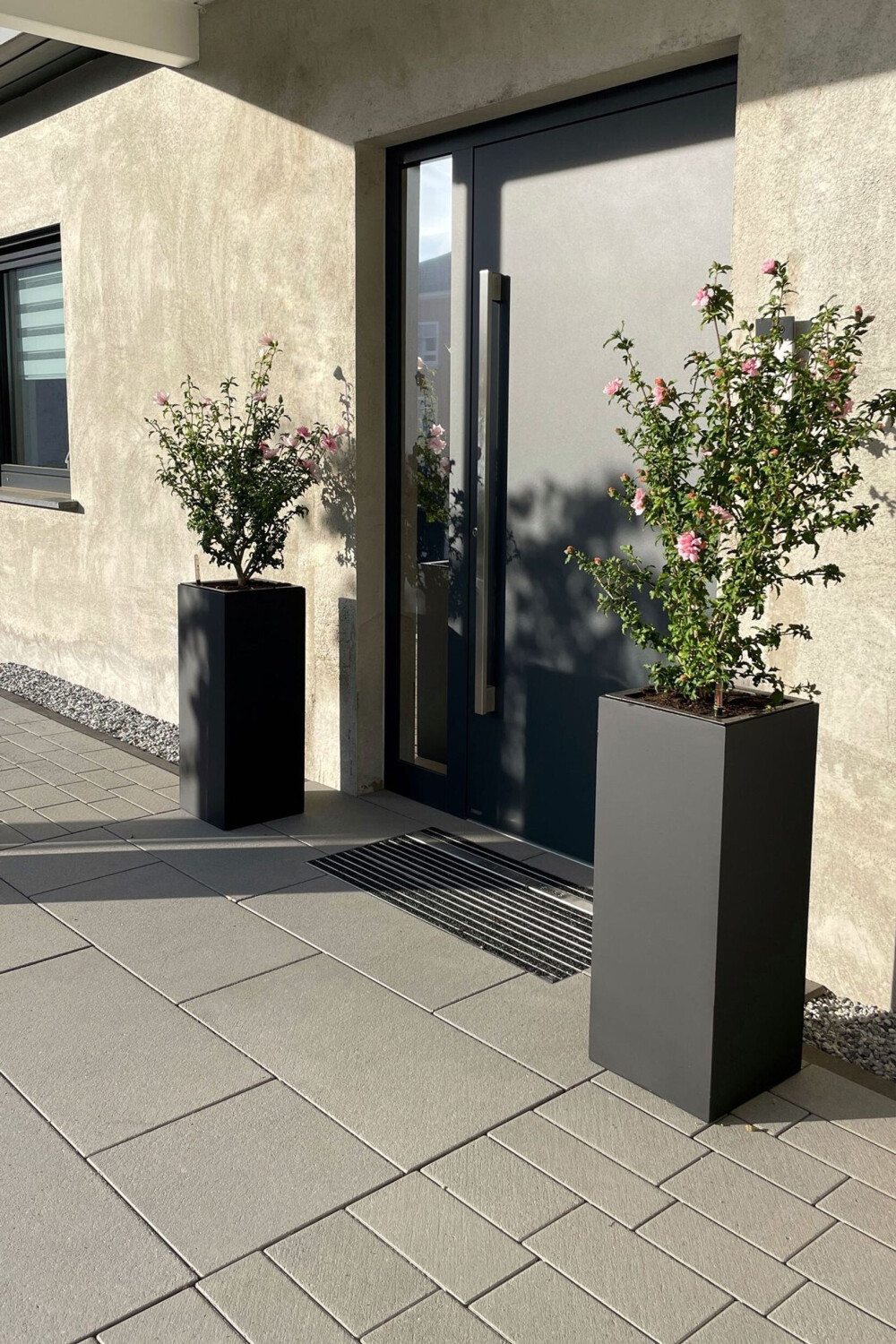 Vivanno Vivanno 223109118075 - view 9