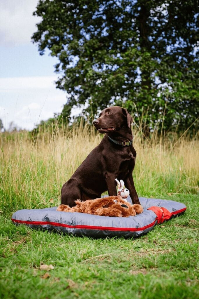 Nobby Coussin pour chien Nobby Coussin pour chien