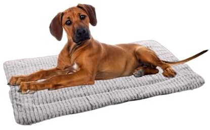 Flamingo Coussin pour chien