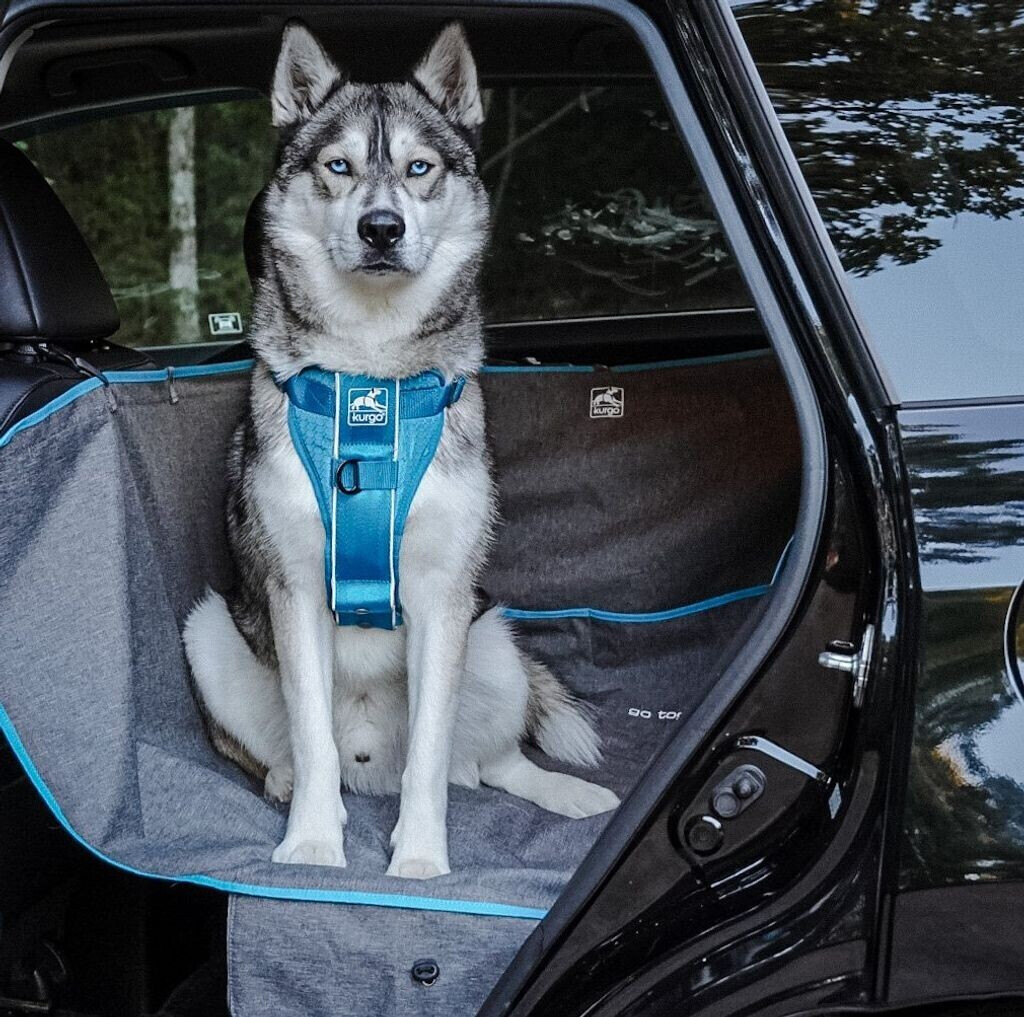 Kurgo Protection de voiture pour chien Kurgo Protection de voiture pour chien