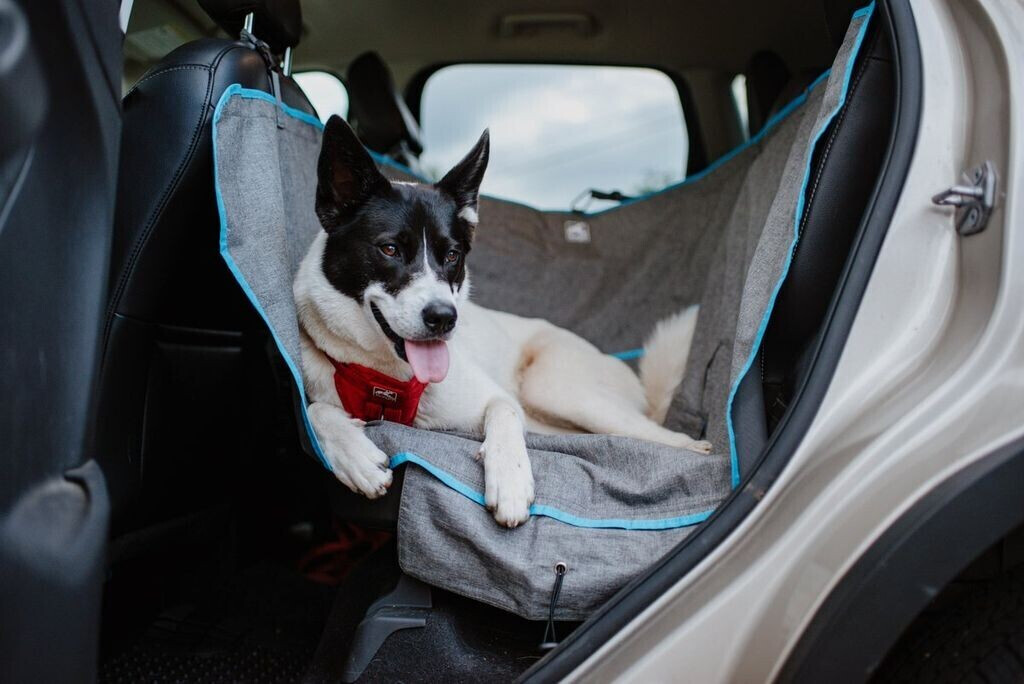 Kurgo Protection de voiture pour chien Kurgo Protection de voiture pour chien