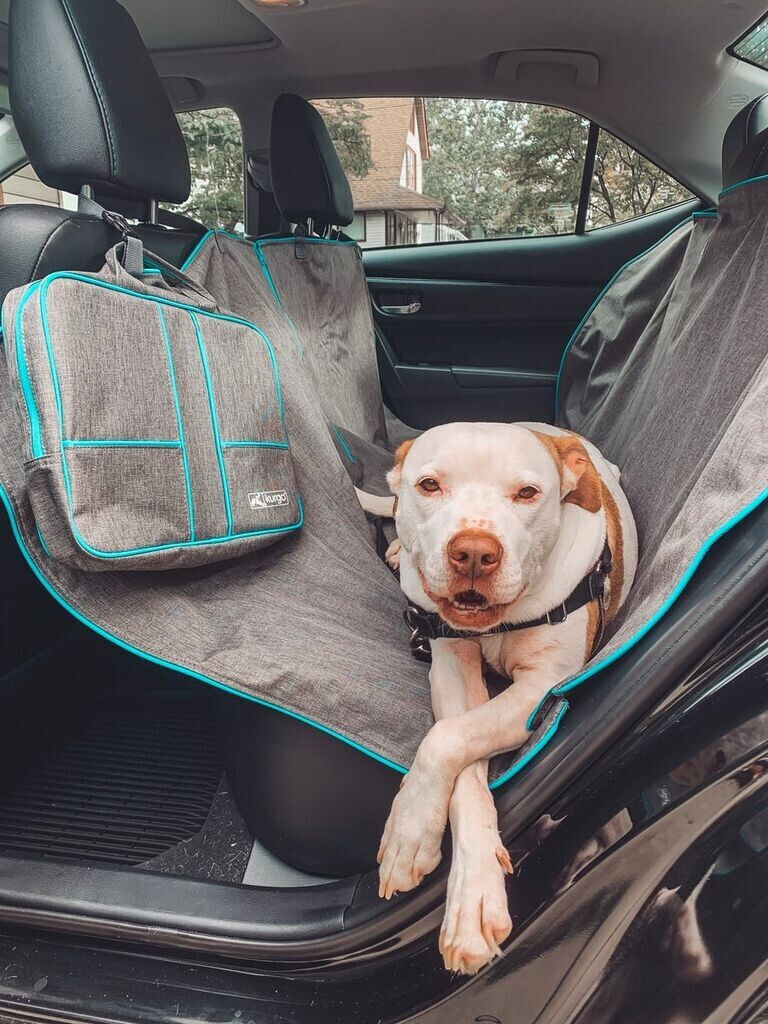 Kurgo Protection de voiture pour chien