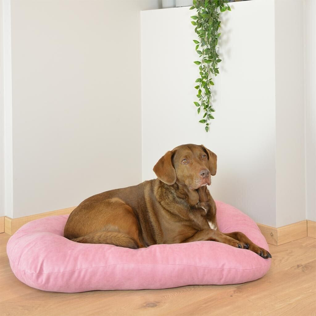 Duvo+ Coussin pour chien Duvo+ Coussin pour chien
