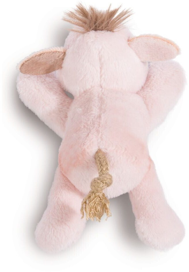 Nici pig store