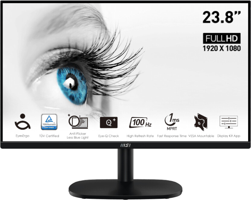 MSI PRO MP245V