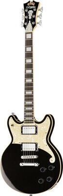 D'Angelico Premier Brighton Black Flake
