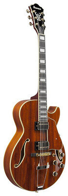 Ibanez AG95K-NT Natur