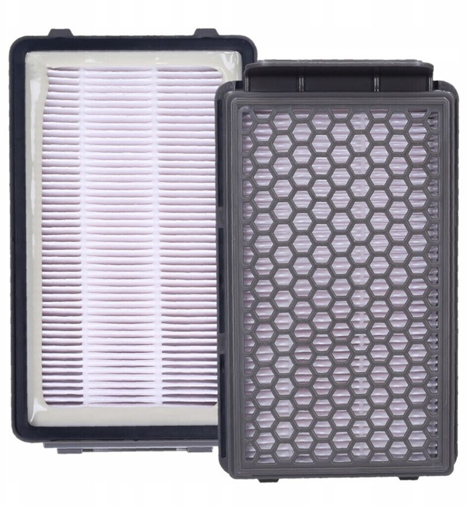 Paquete de filtros de repuesto de 2 veces compatible con aspiradoras Rowenta  Compact Power Cyclonic Ro3718ea, Ro3724ea, Ro3731ea, Ro3753ea, Ro3786ea,  Ro3798ea