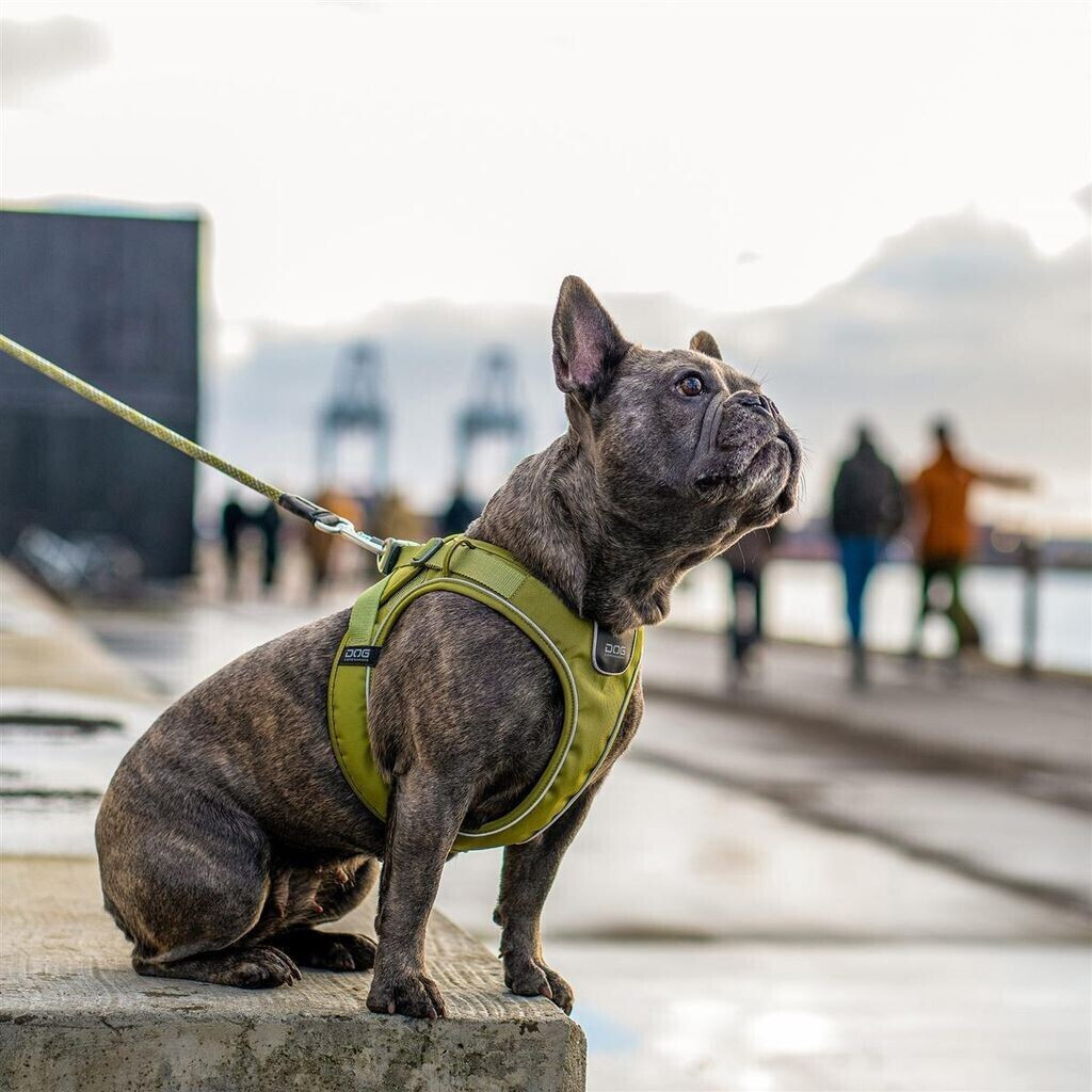 DOG Copenhagen Harnais pour chien Orange Sun S DOG Copenhagen Harnais pour chien Orange Sun S