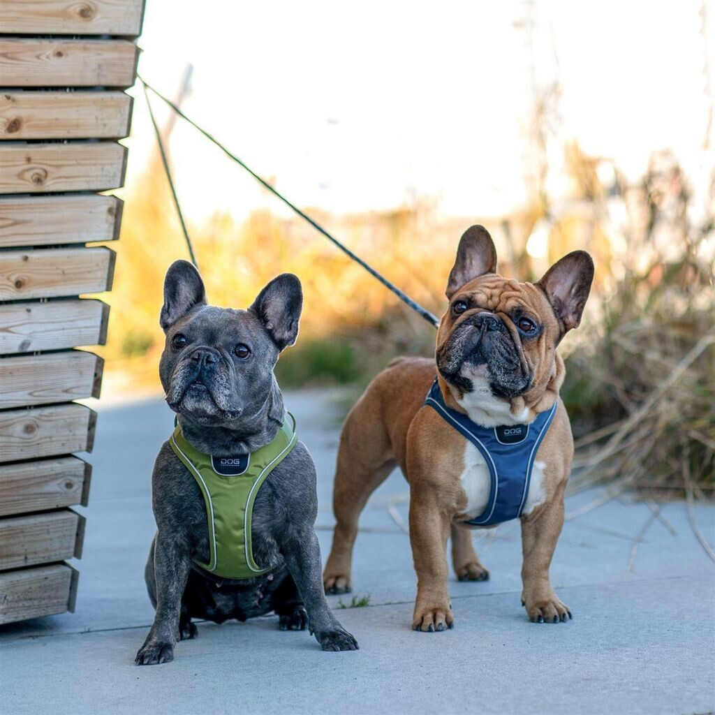 DOG Copenhagen Harnais pour chien Ocean Blue XXS DOG Copenhagen Harnais pour chien Ocean Blue XXS