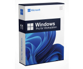 Microsoft Windows 11 Pro for Workstations (DE)