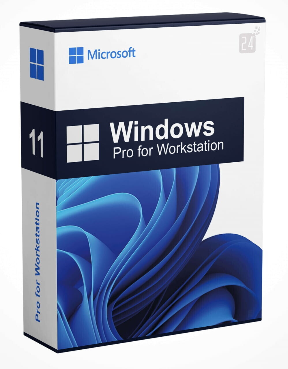 Microsoft Windows 11 Pro for Workstations (DE)