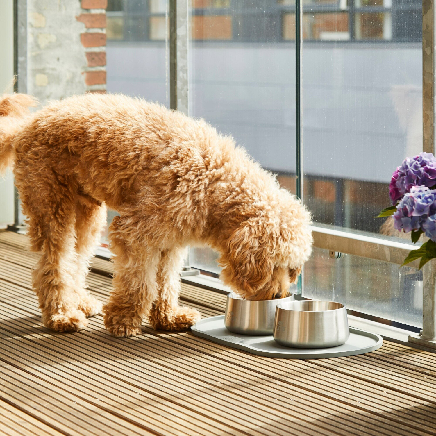 DOG Copenhagen Gamelle pour chien S/M. Steel DOG Copenhagen Gamelle pour chien S/M. Steel