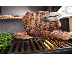 Weber genesis e315 on sale
