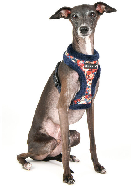 Puppia Harnais pour chien PAUD-HA1857-NA-XL Puppia Harnais pour chien PAUD-HA1857-NA-XL