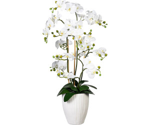 Creativ green Orchidee Phalaenopsis real touch 110 cm weiß (1721307-40) ab  157,37 € | Preisvergleich bei