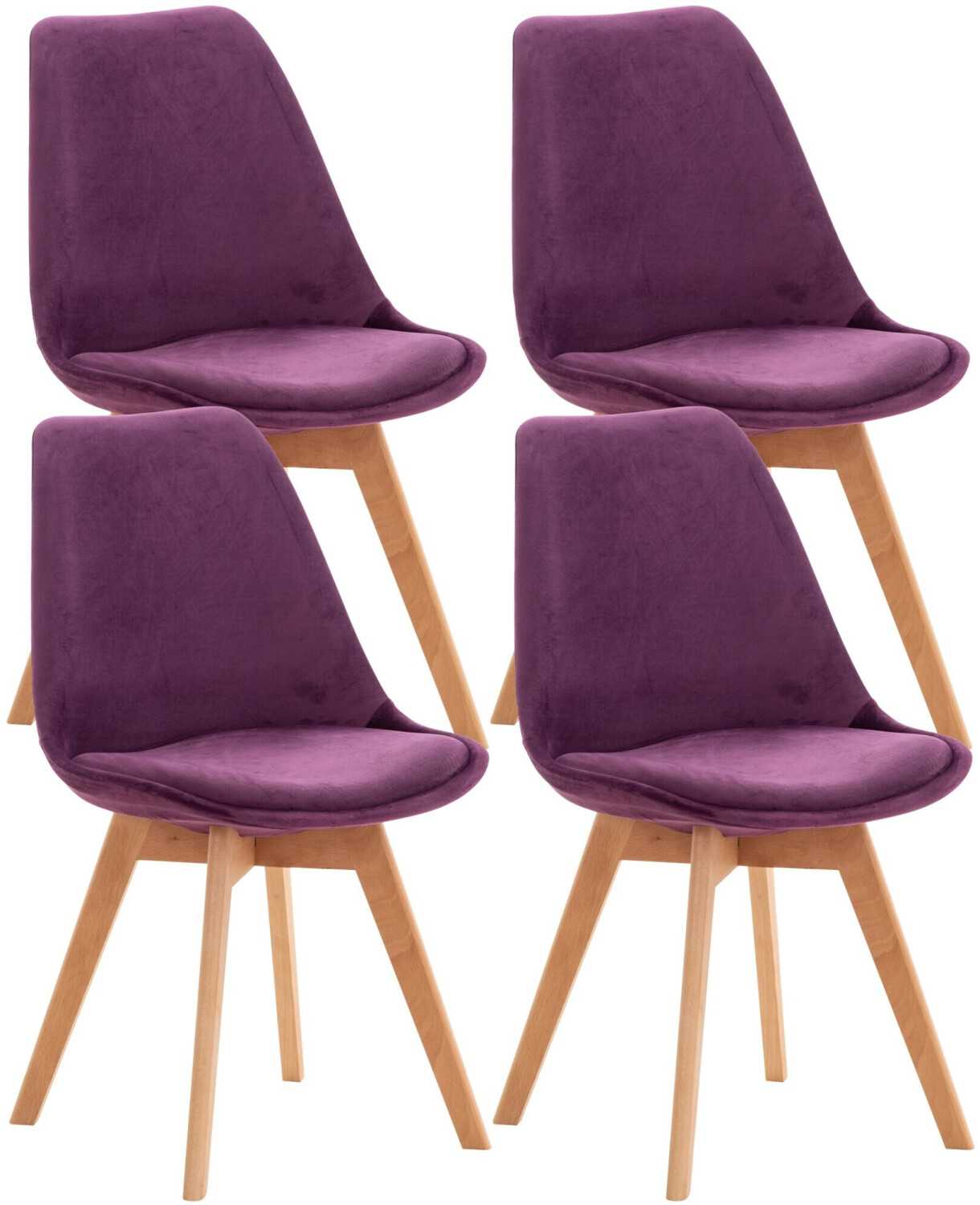CLP Linares 4.cs. Velvet purple (316874)