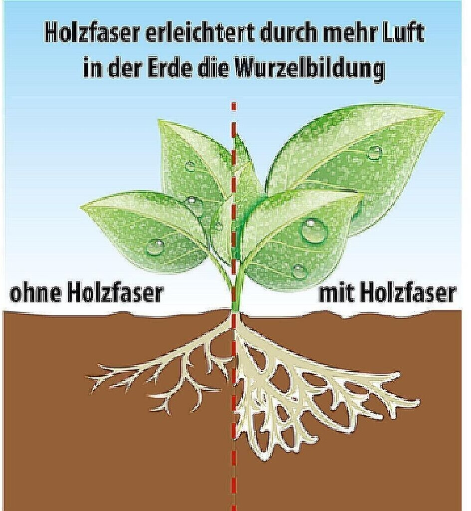 Frux Frux 234355 - back view