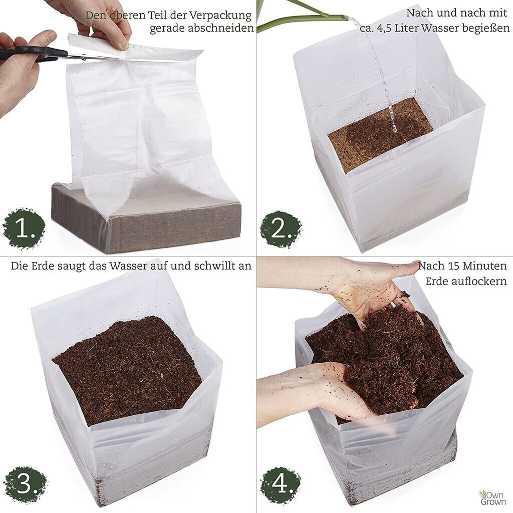 OwnGrown OwnGrown BEGR-300035 - back view