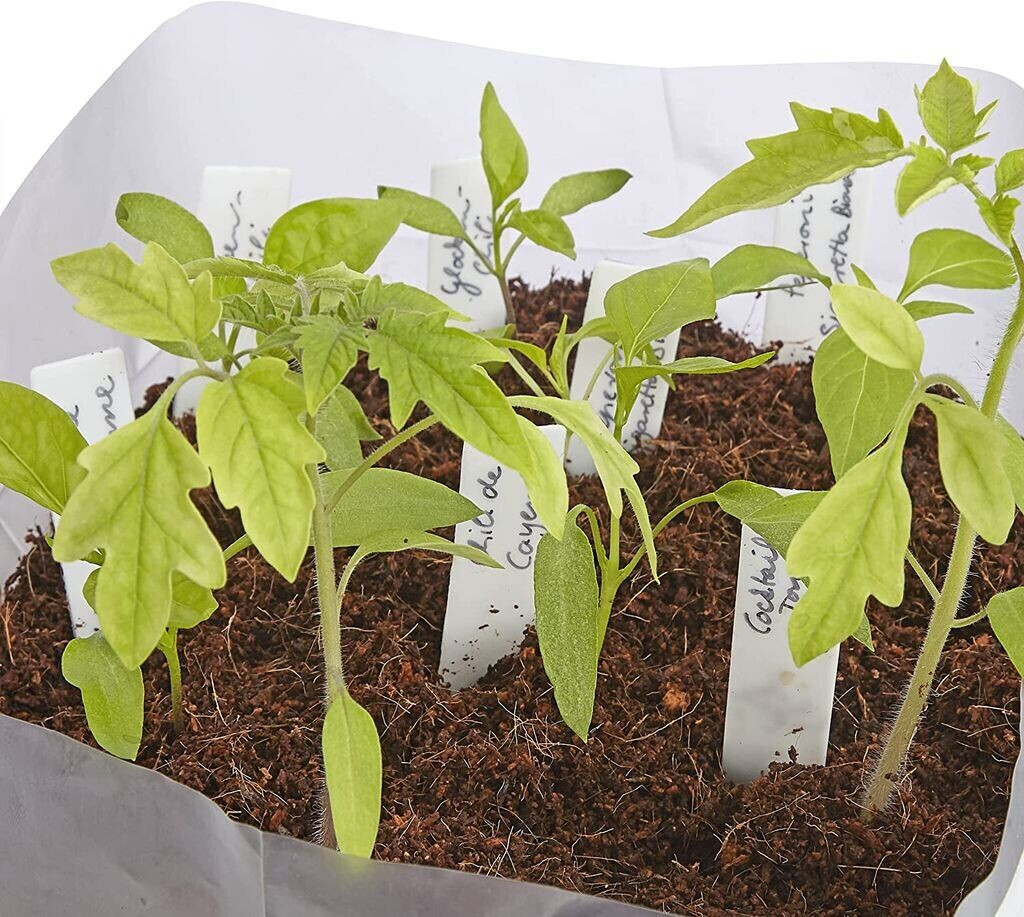 OwnGrown OwnGrown BEGR-300035 - view 6