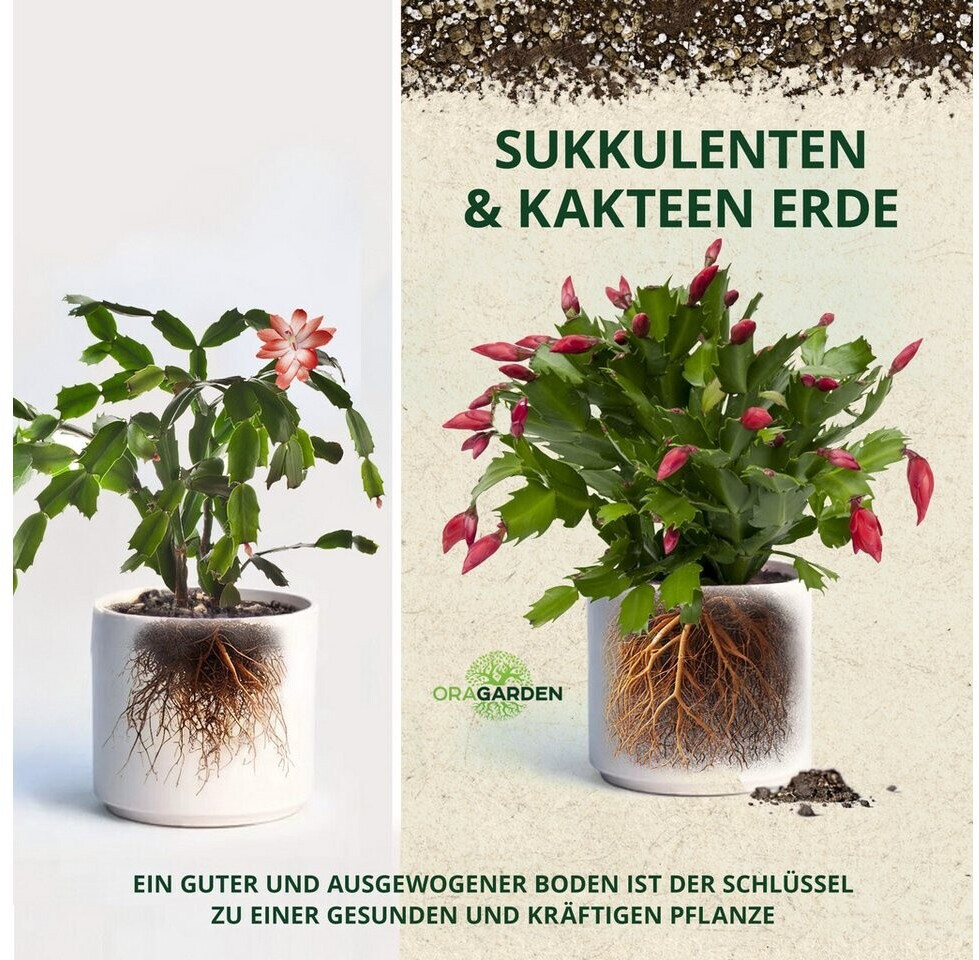 OraGarden OraGarden OG383391-SO - back view