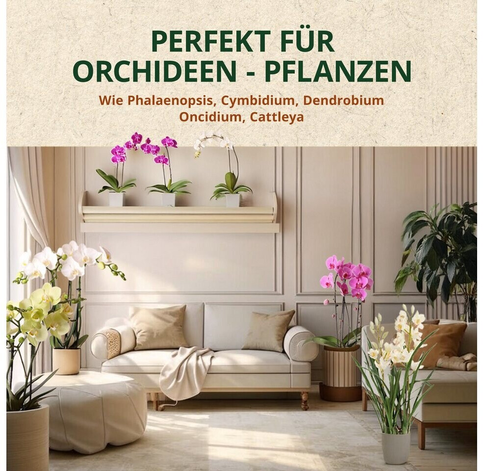 OraGarden OraGarden OG385517-SO - alternate view