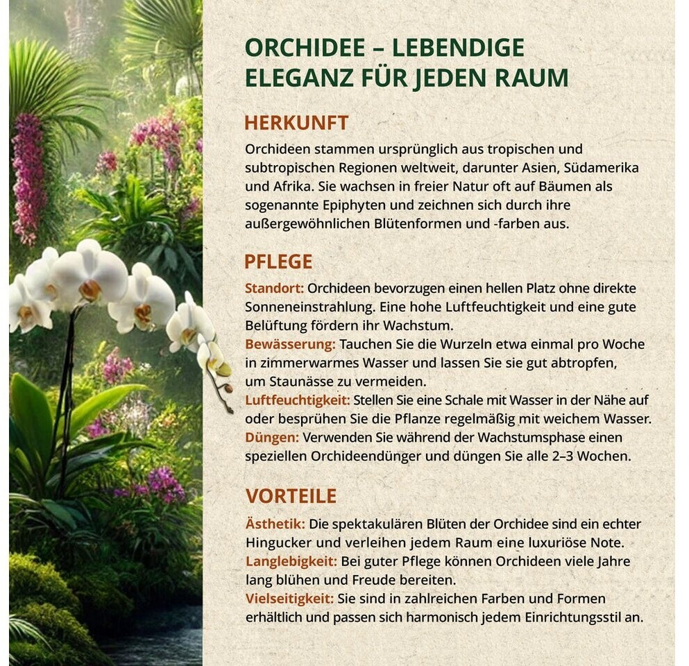 OraGarden OraGarden OG385517-SO - view 8