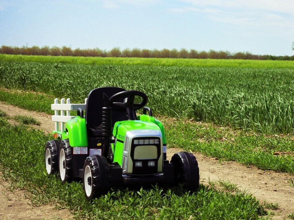 Beneo Traktor Workers mit Anhänger grün ab 151,11 €