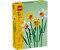 LEGO Botanical Collection - Daffodils (40747)