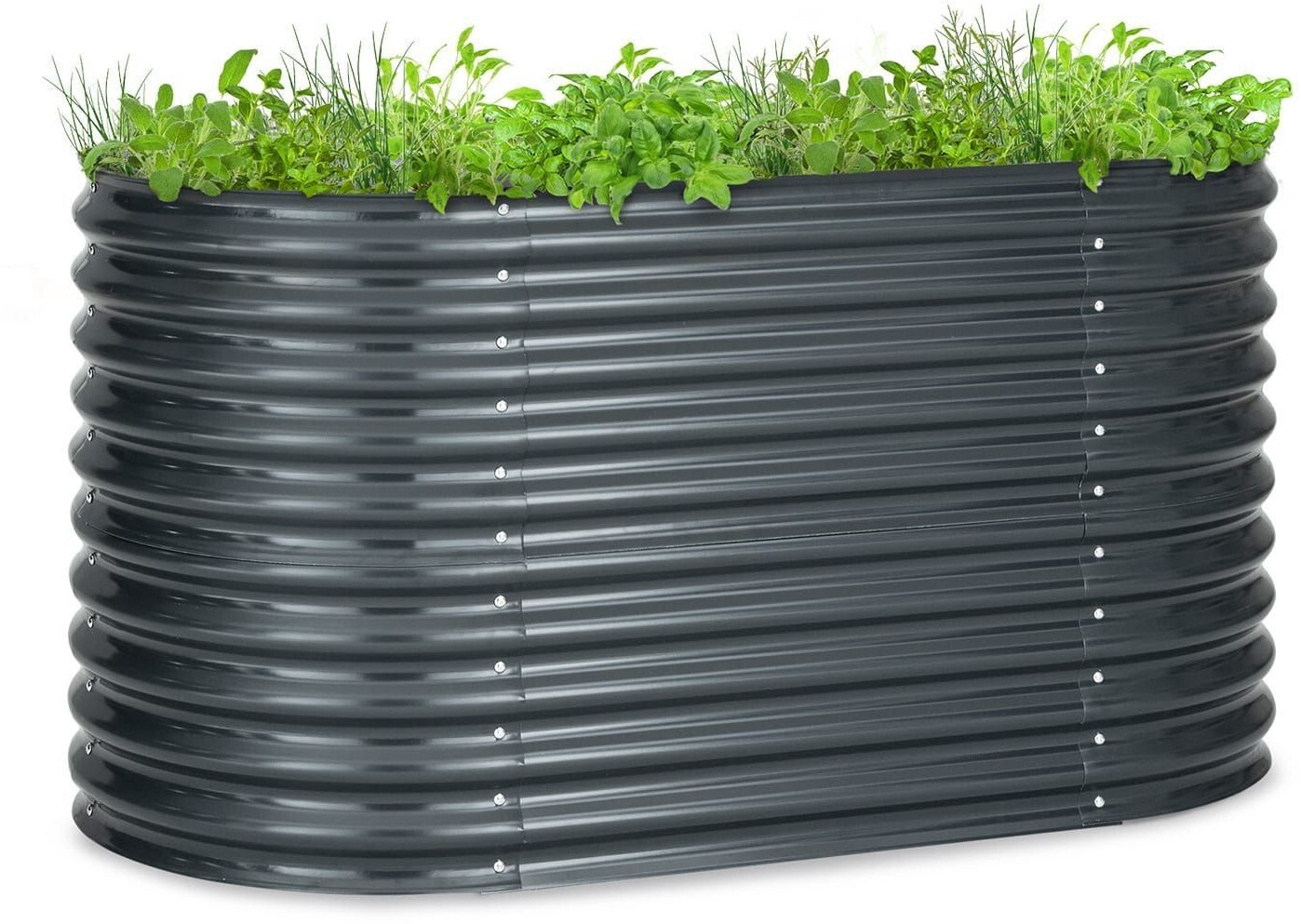 Blumfeldt High Grow 1,6 m anthracite