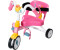 Zapf Creation Baby Born Doll Tricycle