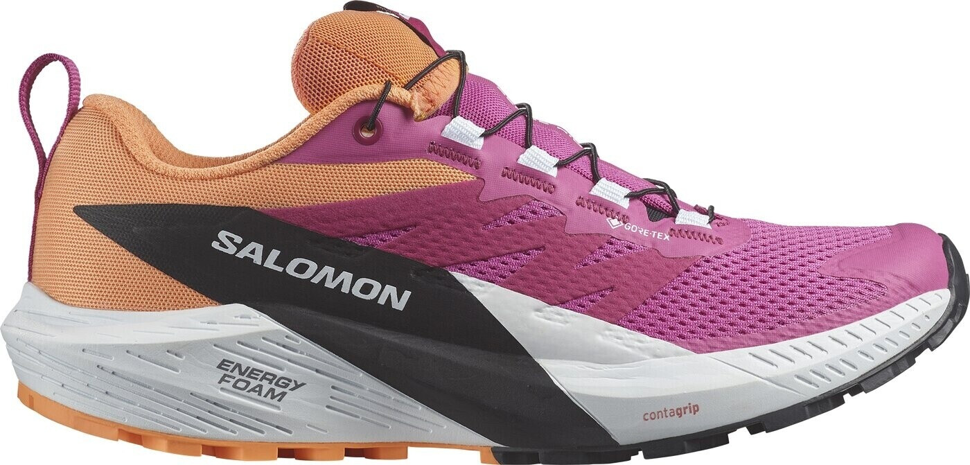 Salomon Sense Ride Goretex Trail Running Shoes Multicolor