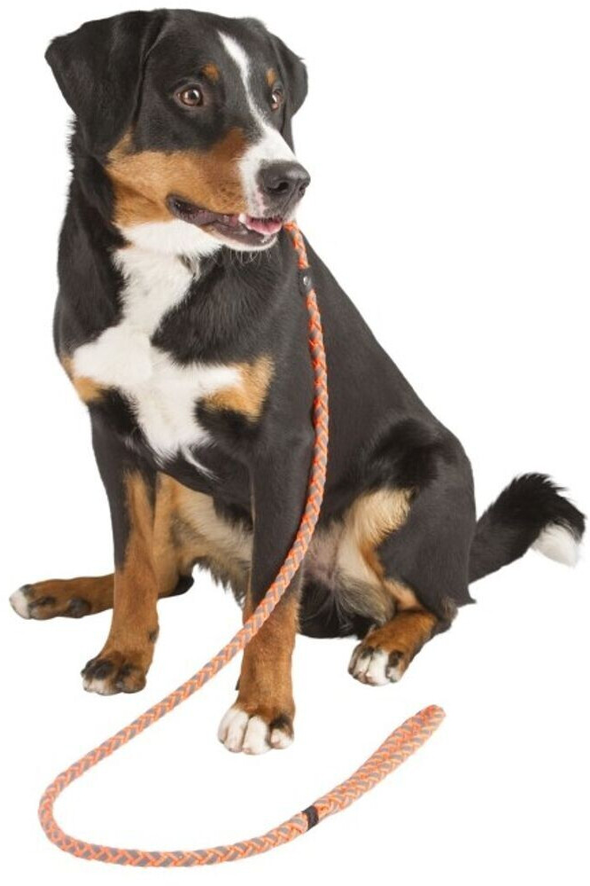 Kerbl Laisse lasso pour chien Maxi Safe Kerbl Laisse lasso pour chien Maxi Safe