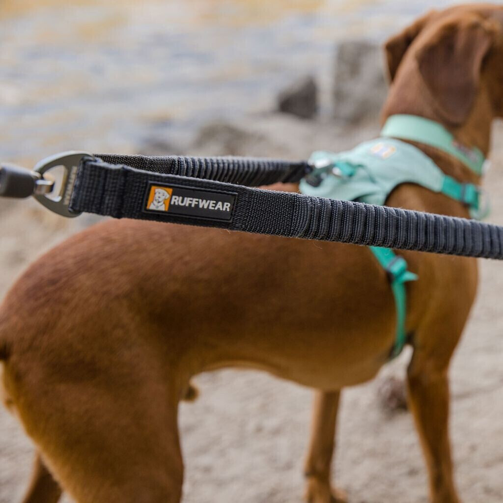 Ruffwear Laisse double pour chien 40294 Ruffwear Laisse double pour chien 40294