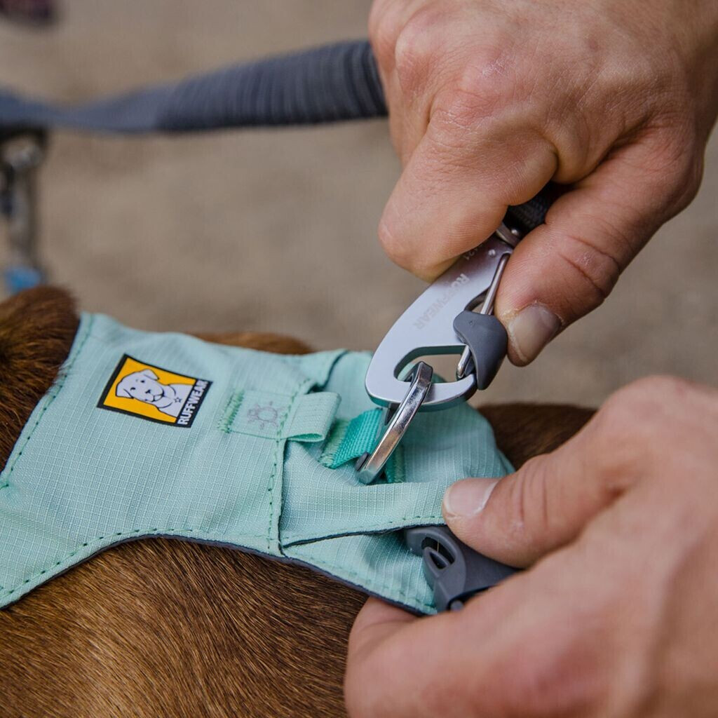 Ruffwear Laisse double pour chien 40294 Ruffwear Laisse double pour chien 40294