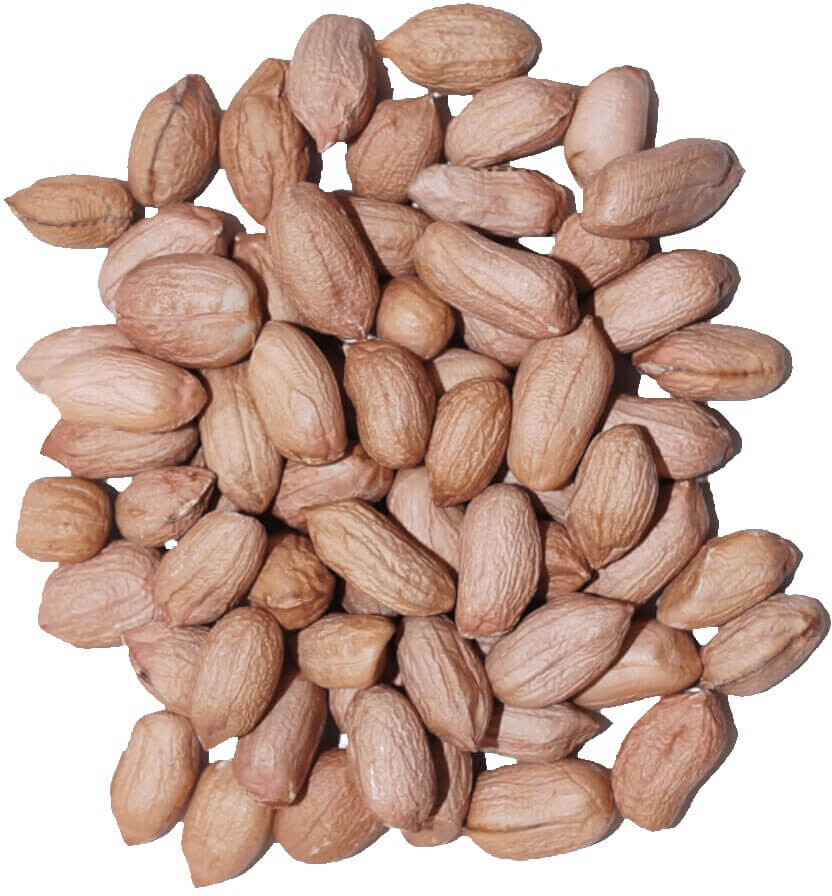 Agrarshop Online Erdnuss light skin 25kg